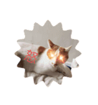 千恵（個別スタンプ：4）