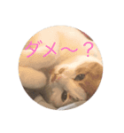 千恵（個別スタンプ：8）