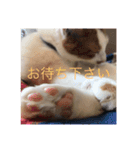 千恵（個別スタンプ：9）
