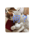 千恵（個別スタンプ：10）