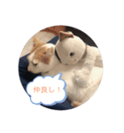 千恵（個別スタンプ：11）