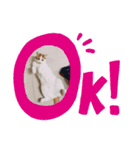 千恵（個別スタンプ：13）