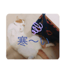 千恵（個別スタンプ：15）