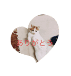 千恵（個別スタンプ：16）