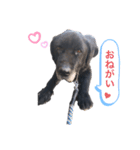 よる（よっくん）（個別スタンプ：11）