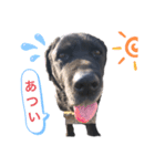 よる（よっくん）（個別スタンプ：16）