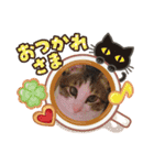サスケくんの1日（個別スタンプ：4）