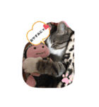 サスケくんの1日（個別スタンプ：5）