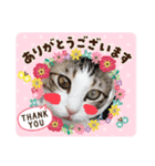 サスケくんの1日（個別スタンプ：7）