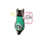 サスケくんの1日（個別スタンプ：8）