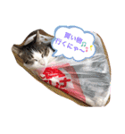 サスケくんの1日（個別スタンプ：11）