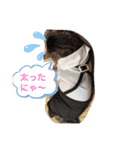 サスケくんの1日（個別スタンプ：12）