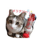 サスケくんの1日（個別スタンプ：16）