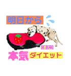 息子のスケジュール（個別スタンプ：2）