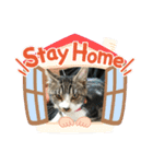 れもん＆リッキー（個別スタンプ：12）
