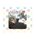 れもん＆リッキー（個別スタンプ：13）