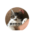れもん＆リッキー（個別スタンプ：14）