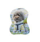 愛犬リール（個別スタンプ：1）