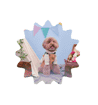 愛犬リール（個別スタンプ：5）