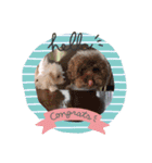 愛犬リール（個別スタンプ：6）