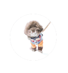 愛犬リール（個別スタンプ：9）