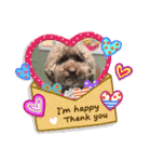 愛犬リール（個別スタンプ：16）