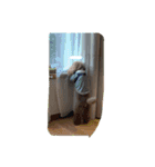 リール（個別スタンプ：3）