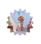 リール（個別スタンプ：6）