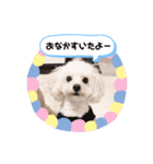umiのスタンプ（個別スタンプ：1）