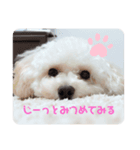 umiのスタンプ（個別スタンプ：3）