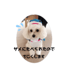 umiのスタンプ（個別スタンプ：6）