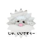umiのスタンプ（個別スタンプ：7）
