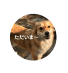 ソララサン2（個別スタンプ：1）
