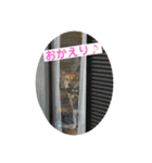 ソララサン2（個別スタンプ：2）