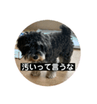 ソララサン2（個別スタンプ：8）