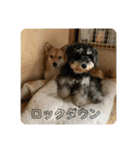 ソララサン2（個別スタンプ：12）