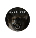 ソララサン2（個別スタンプ：13）