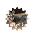ソララサン2（個別スタンプ：15）