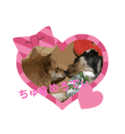 ソララサン2（個別スタンプ：16）