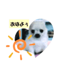 ロンくんの日常会話（個別スタンプ：1）