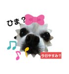ロンくんの日常会話（個別スタンプ：5）