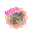 ウサギののきなこ（個別スタンプ：8）