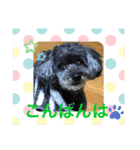 シャイな子たち（個別スタンプ：2）