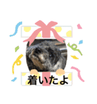 シャイな子たち（個別スタンプ：5）