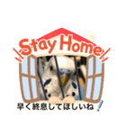 シャイな子たち（個別スタンプ：9）