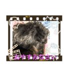 シャイな子たち（個別スタンプ：10）