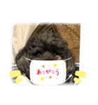 シャイな子たち（個別スタンプ：11）
