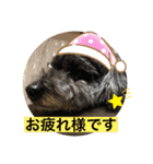 シャイな子たち（個別スタンプ：12）
