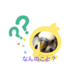 シャイな子たち（個別スタンプ：13）