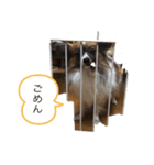 愛犬カナ（個別スタンプ：2）